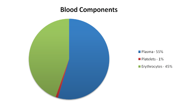 The Components Of Blood