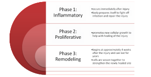 Wound Healing